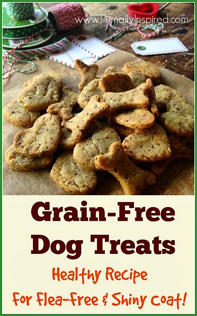 18 Easy Dog Treat Recipes- An easy way to save money on your pet expenses and ensure your dog eats healthy is by making these easy homemade dog treat recipes! | #dogTreats #homemadeDogTreats #dogTreatRecipes #pets #ACultivatedNest