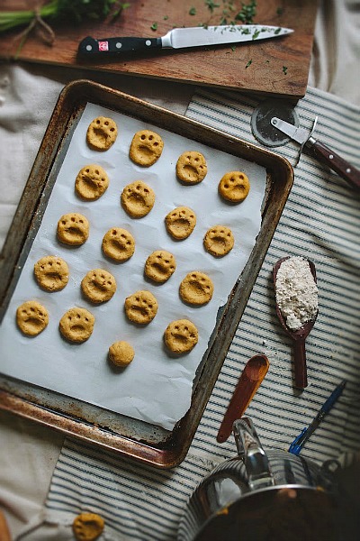 18 Easy Dog Treat Recipes to Make at Home- An easy way to save money on your pet expenses and ensure your dog eats healthy is by making these easy homemade dog treat recipes! | #dogTreats #homemadeDogTreats #dogTreatRecipes #pets #ACultivatedNest