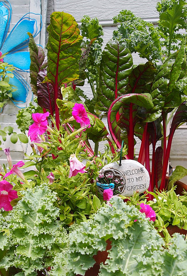 The Secret to Container Vegetable Gardening