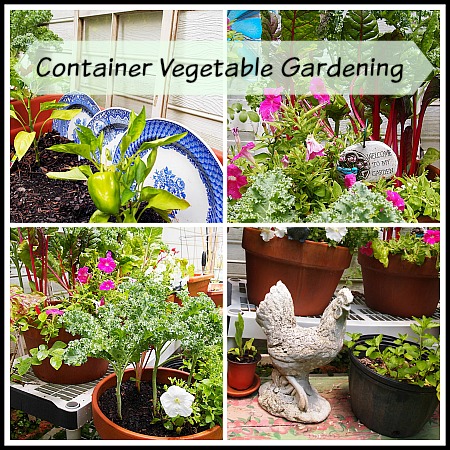 My Container Vegetable Garden