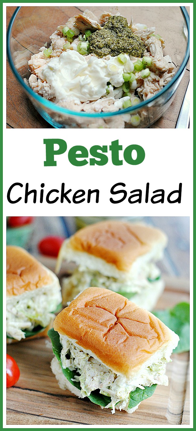  Easy Pesto Chicken Salad - This is a really nice change from your typical chicken salad! You can serve it on the bread of your choice or simply serve over a salad for a lighter meal.