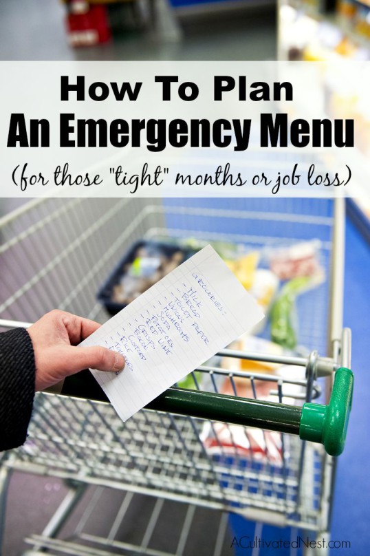 How to plan an emergency menu for those "tight" months or if you suffer a job loss.
