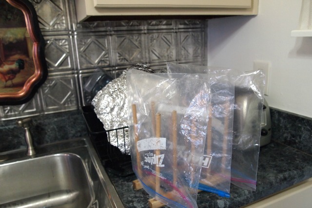 Thrifty things people reuse - like foil and plastic storage bags