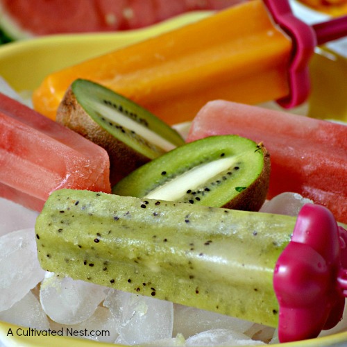 If you're craving a delicious cold treat, try making these quick and easy pureed fruit pops! Make whatever flavor you like with this simple recipe!