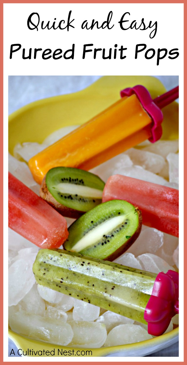 If you're craving a delicious cold treat, try making these quick and easy pureed fruit pops! Make whatever flavor you like with this simple recipe!