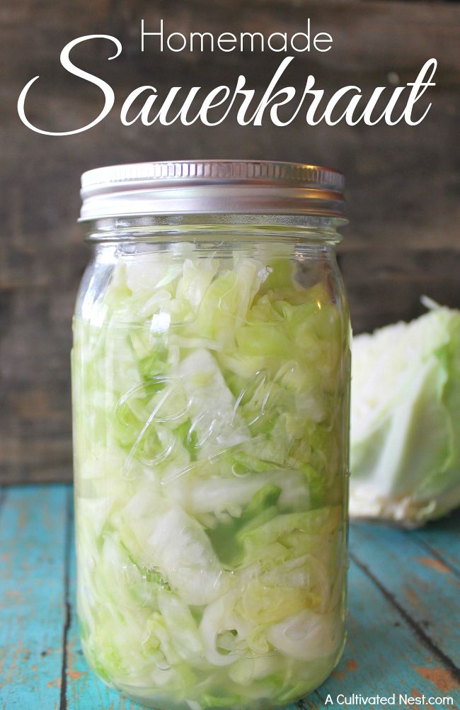 Homemade Sauerkraut- Sauerkraut is great for your digestive health, but can be costly if you buy it often. Make your own and save money with this easy and inexpensive homemade sauerkraut recipe! | how to make sauerkraut, fermented food recipes, #homemade #recipe #sauerkraut #frugalLiving #ACultivatedNest