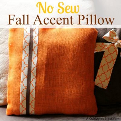 Easy DIY No Sew Fall Accent Pillow