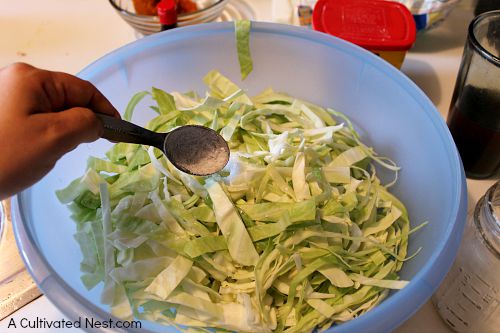Easy and inexpensive homemade sauerkraut
