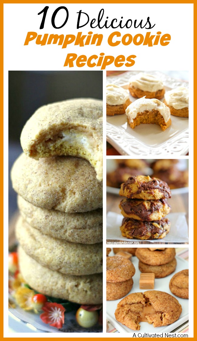 10 Delicious Pumpkin Cookie Recipes