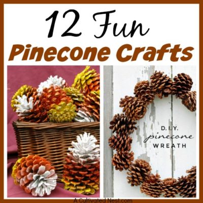 12 Fun Pinecone Crafts