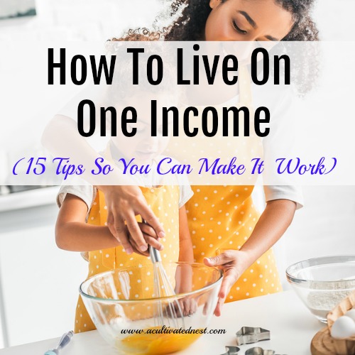 Money Saving Tips So You Can Live On One Income - How To Live On One Income - check out these 15 tips for living on one income from a Stay At Home Mom.. Your family can not only survive on one income but you can actually THRIVE and enjoy living on one income. SAHM, living on one income, budgeting, money saving tips #frugalliving #moneysavingtips #acultivatednest