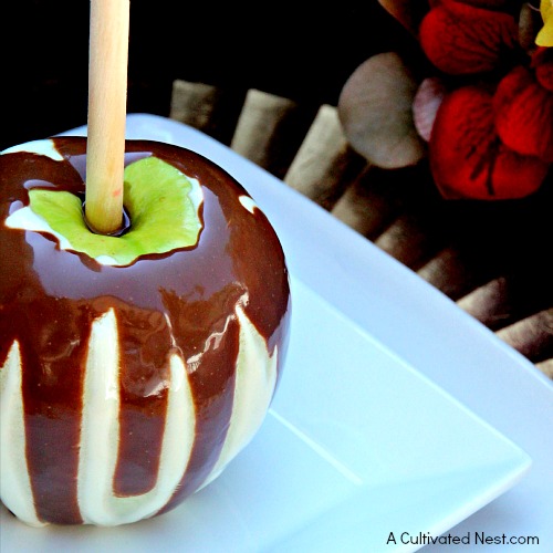 White Chocolate Apples with Milk Chocolate Drizzle