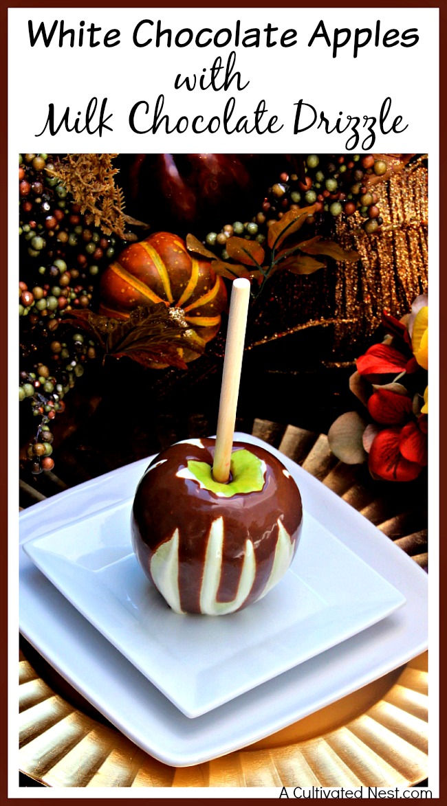 Indulge in delicious gourmet apples without paying store price! Easily make your own yummy homemade white chocolate apples with milk chocolate drizzle!