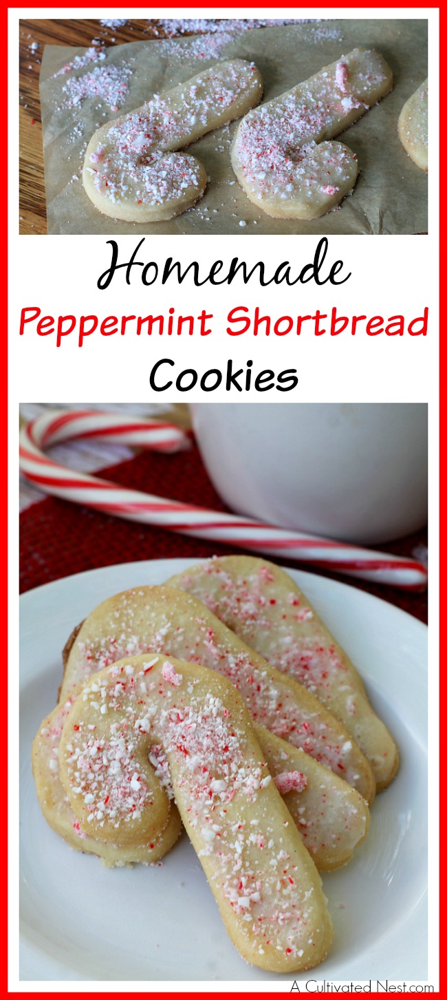 These yummy peppermint shortbread cookies have light icing and crushed peppermint on top- the perfect holiday combination! You've got to give these a try!