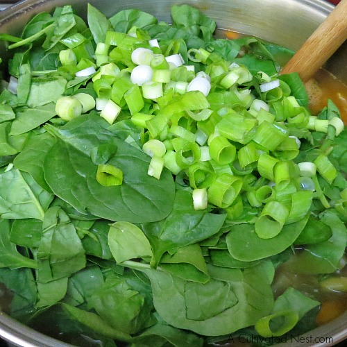 Low calorie cleansing vegetable soup