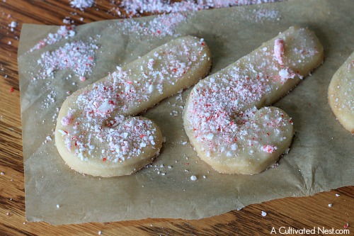 Homemade peppermint shortbread cookies
