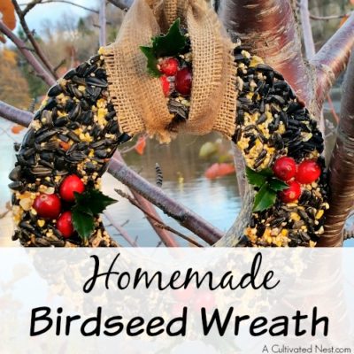 Homemade Birdseed Wreath
