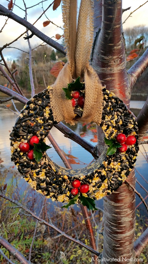 Great step by step tutorial! Attract beautiful birds and save money at the same time by making your own pretty DIY Birdseed Wreath! This is a fun project to do with the kids! | bird feeder, homemade, backyard birds, craft