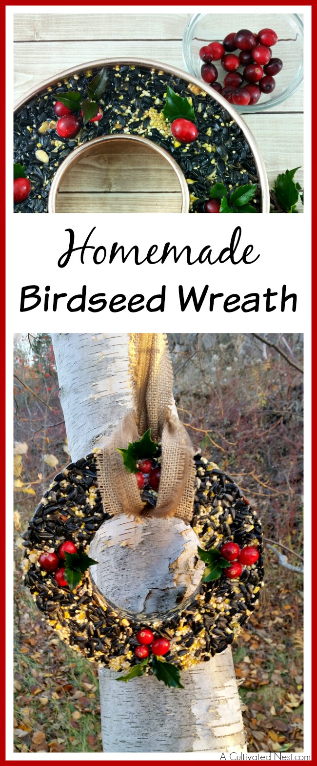 Great step by step tutorial! Attract beautiful birds and save money at the same time by making your own pretty DIY Birdseed Wreath! This is a fun project to do with the kids! | bird feeder, homemade, backyard birds, craft