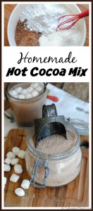 Homemade Hot Cocoa Mix