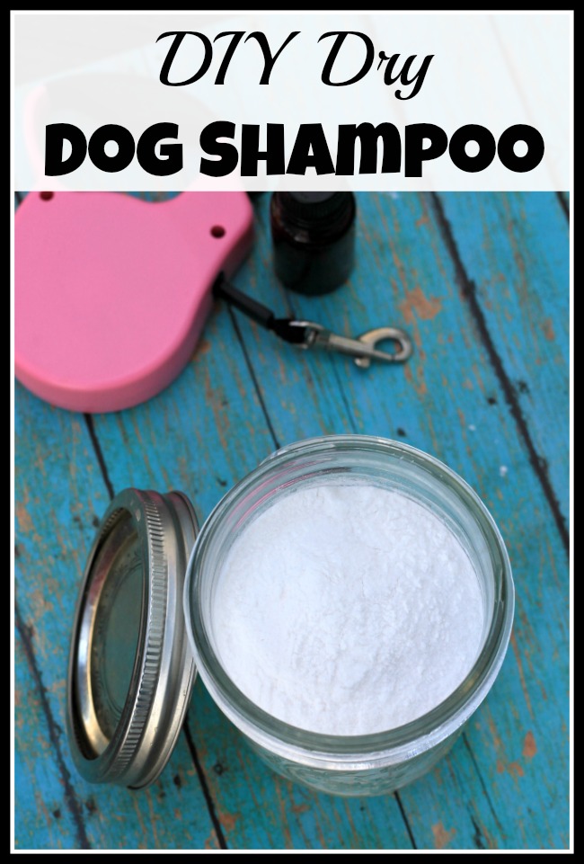 Need to freshen your dog up, but don't want to give them a full bath? Then you need to use this DIY dry dog shampoo!