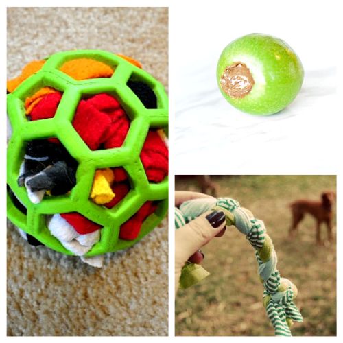 15 Homemade Dog Toys- If you have a dog, there's no reason to spend tons of money on toys from pet stores. Instead, check out these fun homemade dog toys for DIY ideas! | DIY dog toys to sew, how to make your own pet toys, #diyProjects #dog #diyDogToys #crafts #ACultivatedNest