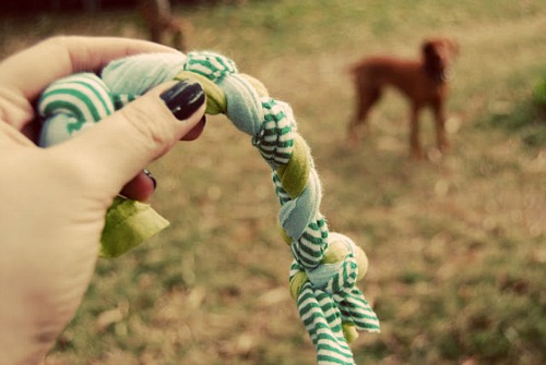 15 DIY Dog Toys- If you have a dog, there's no reason to spend tons of money on toys from pet stores. Instead, check out these fun homemade dog toys for DIY ideas! | DIY dog toys to sew, how to make your own pet toys, #diyProjects #dog #diyDogToys #crafts #ACultivatedNest