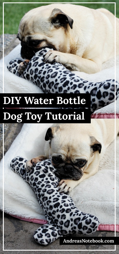 10 Genius DIY Dog Toys That Are Crazy Easy - My Dog's Name