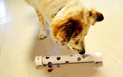 3 DIY Dog Treat Dispensers