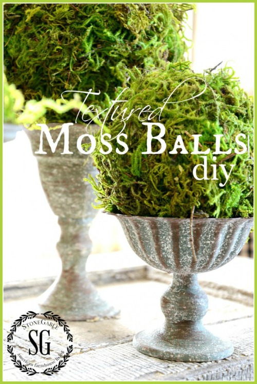 DIY Moss Balls