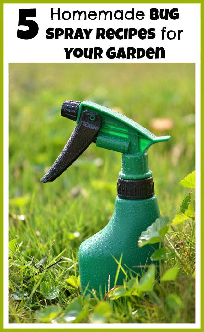 Why spray a bunch of chemicals in your garden when you can easily make your own safe, homemade bug spray? Check out these helpful DIY pesticides!