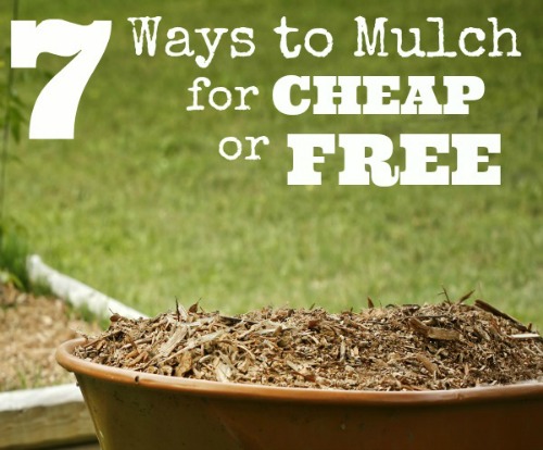 7 Ways To Mulch For Cheap or Free