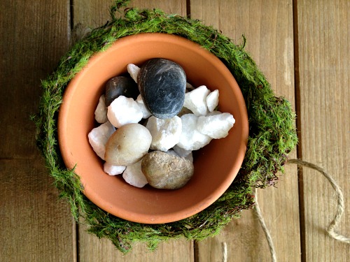 DIY Rustic Moss Centerpiece