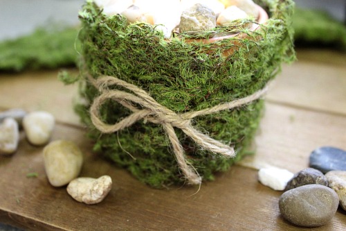 DIY Rustic Moss Centerpiece