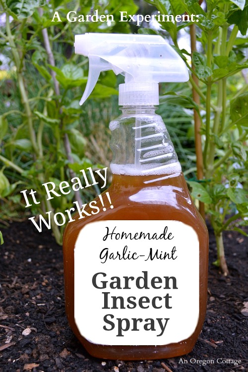 5 Homemade Bug Spray Recipes for Your Garden