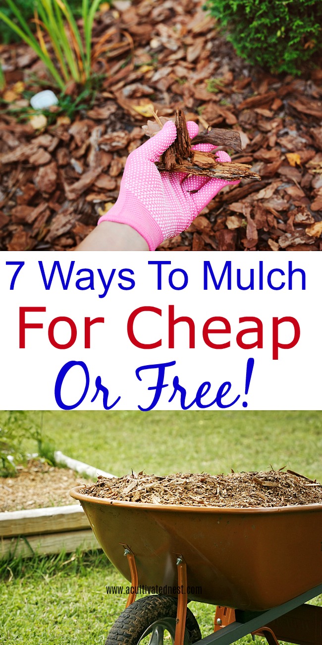 How to find free or cheap mulch-Do you need to apply a layer or two of mulch to your garden or landscaping? Take a look at these ways to mulch for cheap or free!