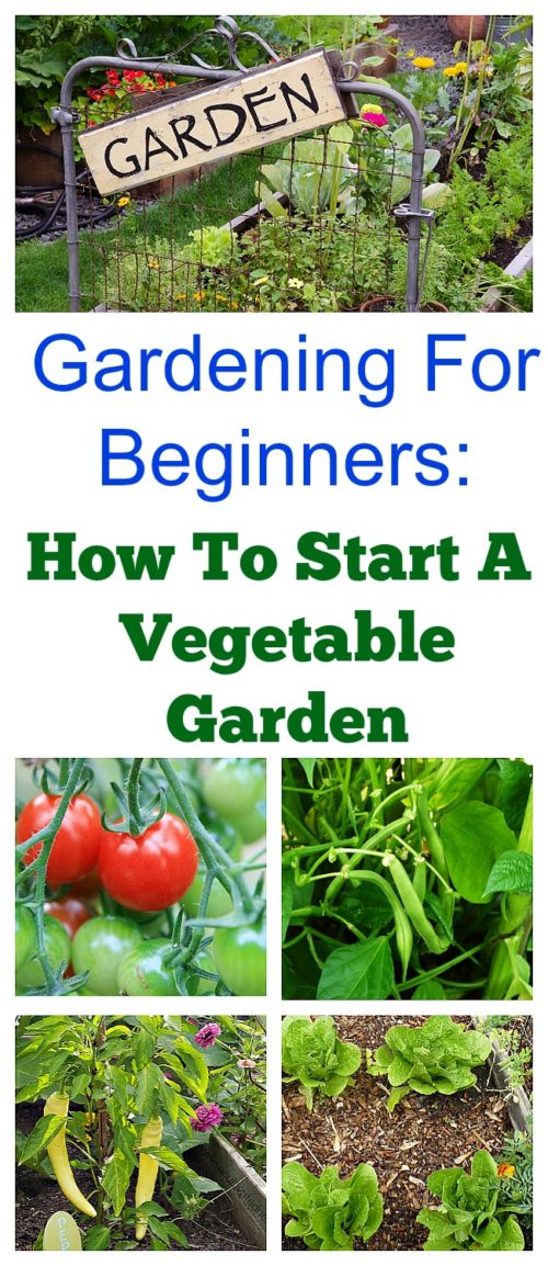 How To Start a Spring Vegetable Garden