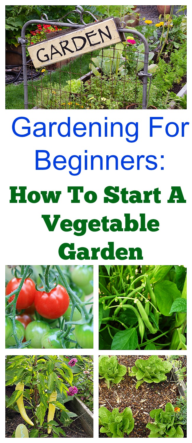 How To Start A Spring Vegetable Garden