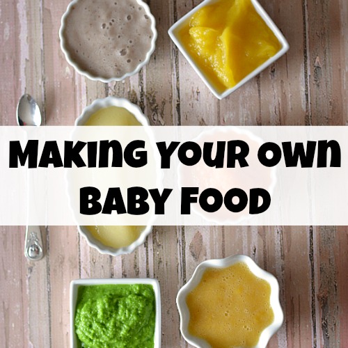 saving money making baby food