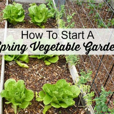 How to start a spring vegetable garden