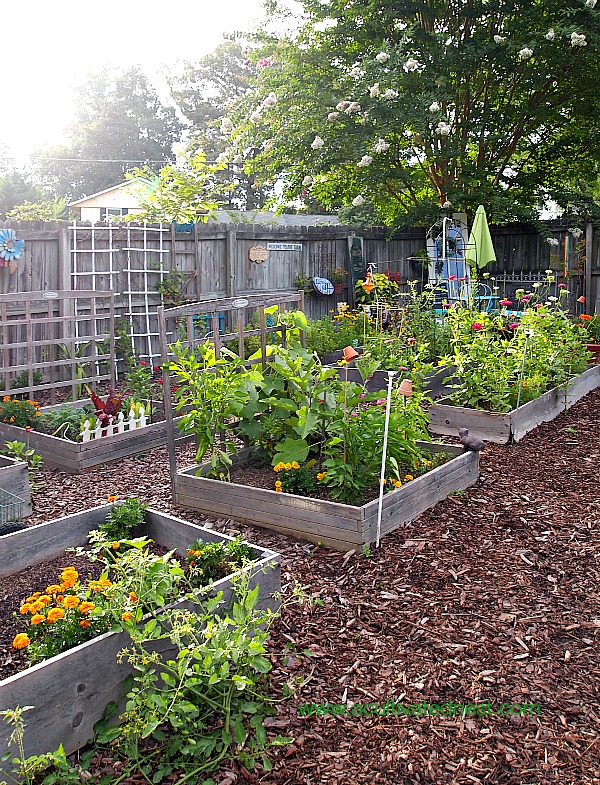 How To Start a Spring Vegetable Garden- Would you like to have a vegetable garden this year? Here's a quick start guide to starting a spring vegetable garden that's great for beginners! If you would like more in-depth information about vegetable gardening, be sure to check out my Gardening 101 Series! | grow your own food, veggies, start a garden in your backyard, raised beds, #gardening #garden #vegetableGardening #growingFood