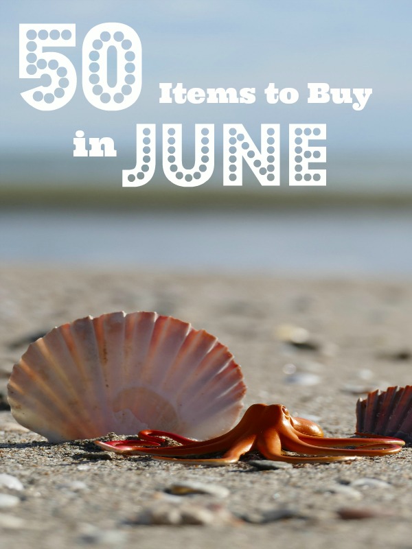 What To Buy In June For Less - June is the perfect time to find some of your favorite things at their rock bottom price. Here's a list of items that are on sale this month! | #saveMoney #moneySavingTips #frugalLiving #ACultivatedNest