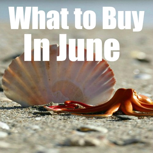 What To Buy In June to Save Money- If you want to save money in June, you need to know what will be on sale! Here are 50 items that will be on sale in June that you won't want to miss out on! | seasonal sale schedules, June clearance items, products on sale in June, #moneySavingTips #saveMoney #frugalLiving #ACultivatedNest