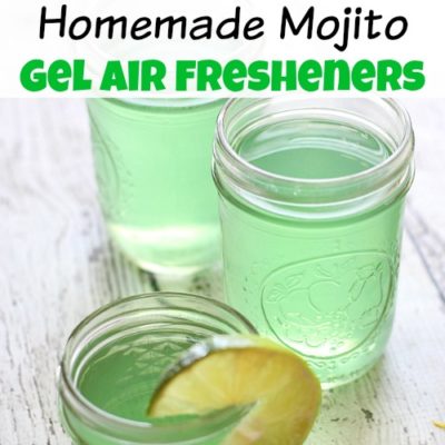 Homemade Mojito Gel Air Fresheners