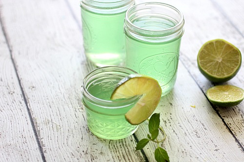 Homemade Mojito Gel Air Fresheners