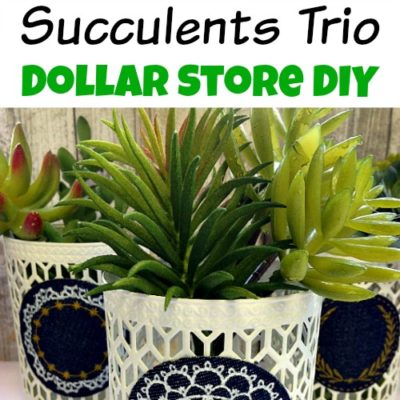 Succulents Trio- Dollar Store DIY