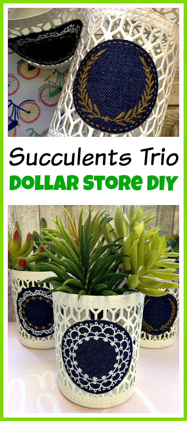 You don't have to spend a lot of money to make something pretty! Make this easy dollar store DIY decor project and create a beautiful succulents trio!