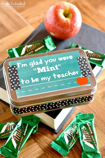 12 Brilliant Homemade Gifts for Teachers- If you want to thank your kids' teachers at the end of the school year or start the year off with a nice present, then you have to make one of these DIY gifts for teachers! | #DIYgift #homemadeGift #backToSchool #teacherGifts #ACultivatedNest