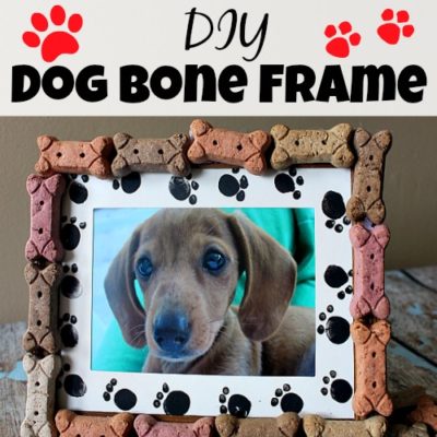 DIY Dog Bone Frame