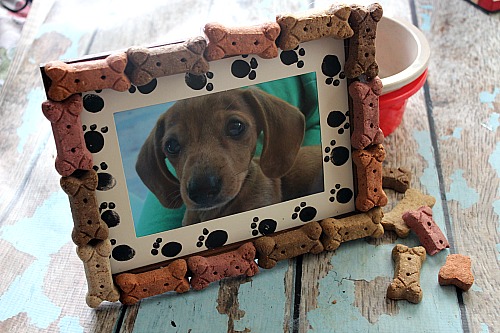 What better way to treasure your pet than with a cute picture in an equally cute frame! Make this DIY dog bone frame to display your adorable dog's photo!